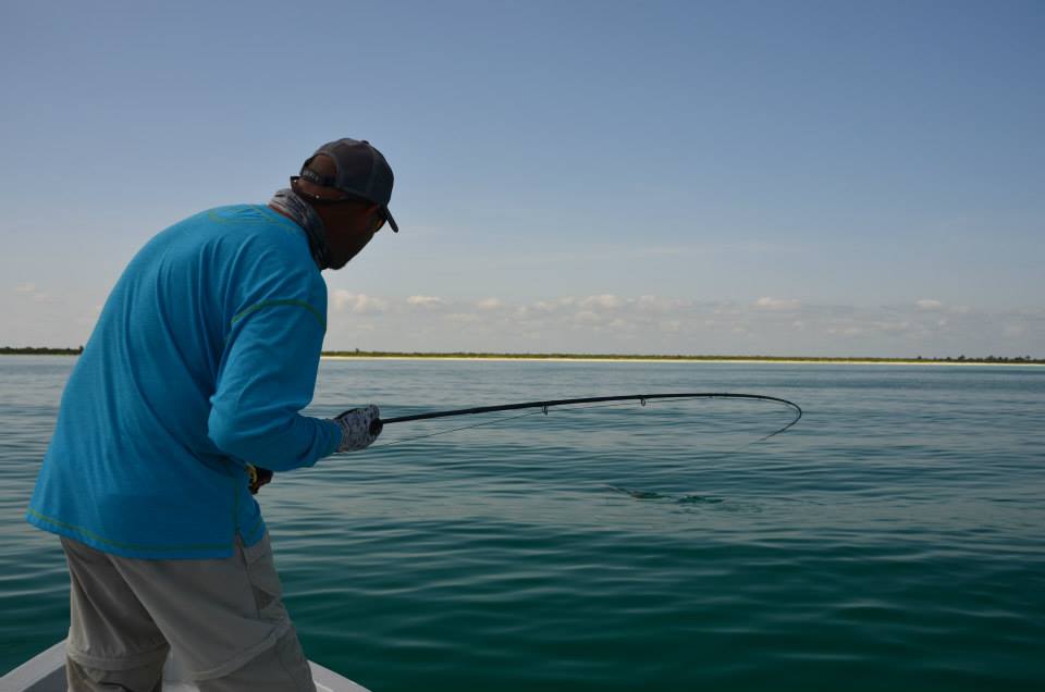 icon Holbox Tarpon, Un Big Tarpon en mi Linea - Excursion de Pesca con Mosca para Permit y Benefish Mexico Mendoza Fly Shop - FlyFishing For Tarpon Trips