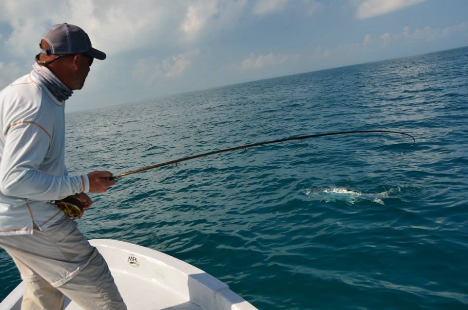 icon Isla de Holbox Programa de Pesca de Tarpon