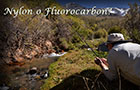 icon Nota: Dragon y Damsel en la pesca con Mosca. TÃ©cnicas lagos y lagunas. Mendoza Fly shop Dealer Orvis Argentina. Por Exequiel Bustos