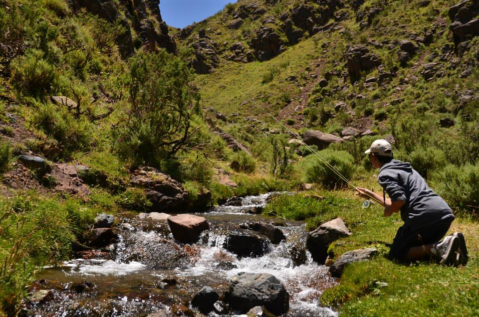 icon Enfermedad de Lyme en Argentina Como Prevenir, SÃ­ntomas y Cuidados para Pescadores con Mosca  Pablo Rodrigo Perez 