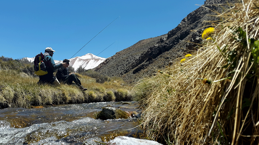 icon Permiso de Pesca Patagonia Argentina 2015 - 2016 en Mendoza Fly Shop