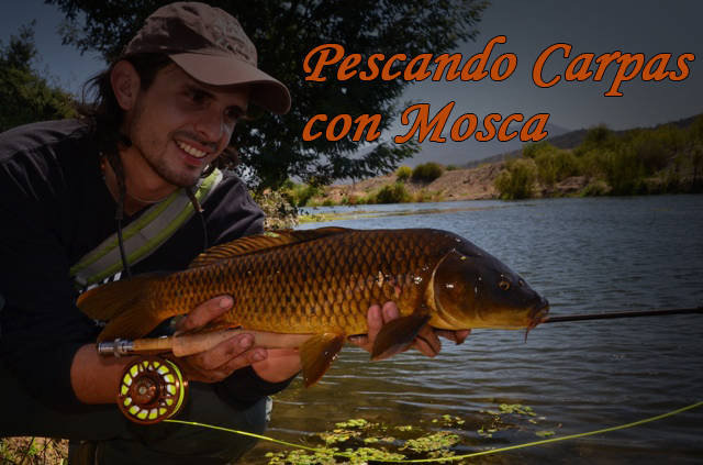 icon Que compro? La linea para Pesca con Mosca - Escuela Benito Perez - Mendoza Fly Shop