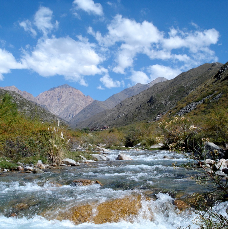 Fly Fishing Mendoza Argentina Mendoza Fly Shop