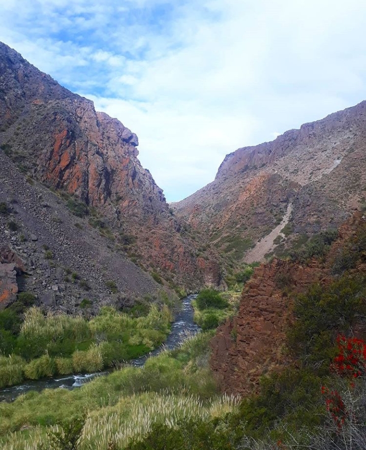 Fly Fishing Mendoza Argentina Mendoza Fly Shop