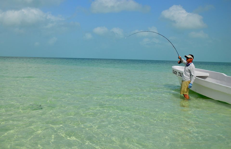 Xcalak, Permit Bonefish y Tarpon Mendoza Fly Shop