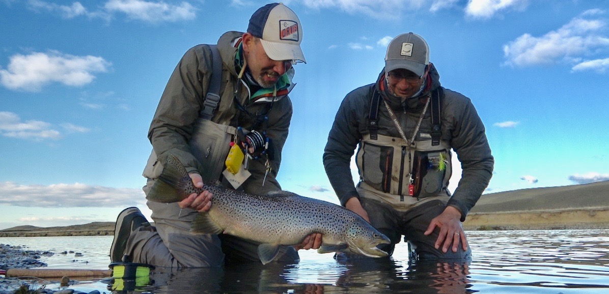 icon Big Tarpon por Diego Buzzurro 2012